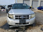 Ford Escape 2011