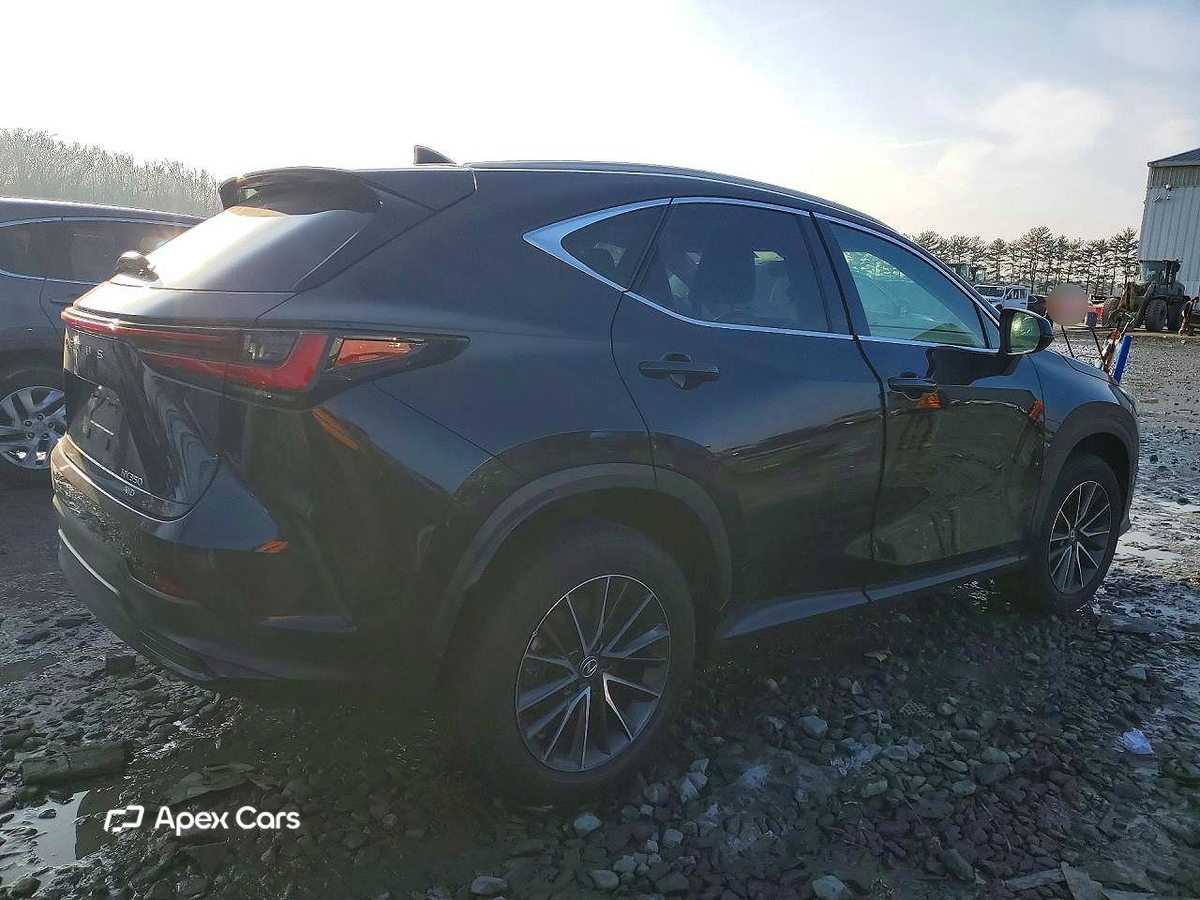 Lexus NX 2024