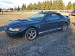 Ford Mustang 2004