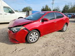 Toyota Corolla 2015