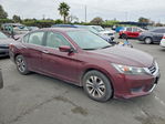 Honda Accord 2013