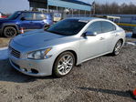 Maxima 2009