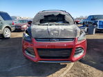 Ford Escape 2014