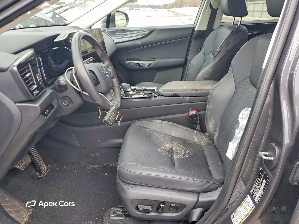 Lexus NX 2024