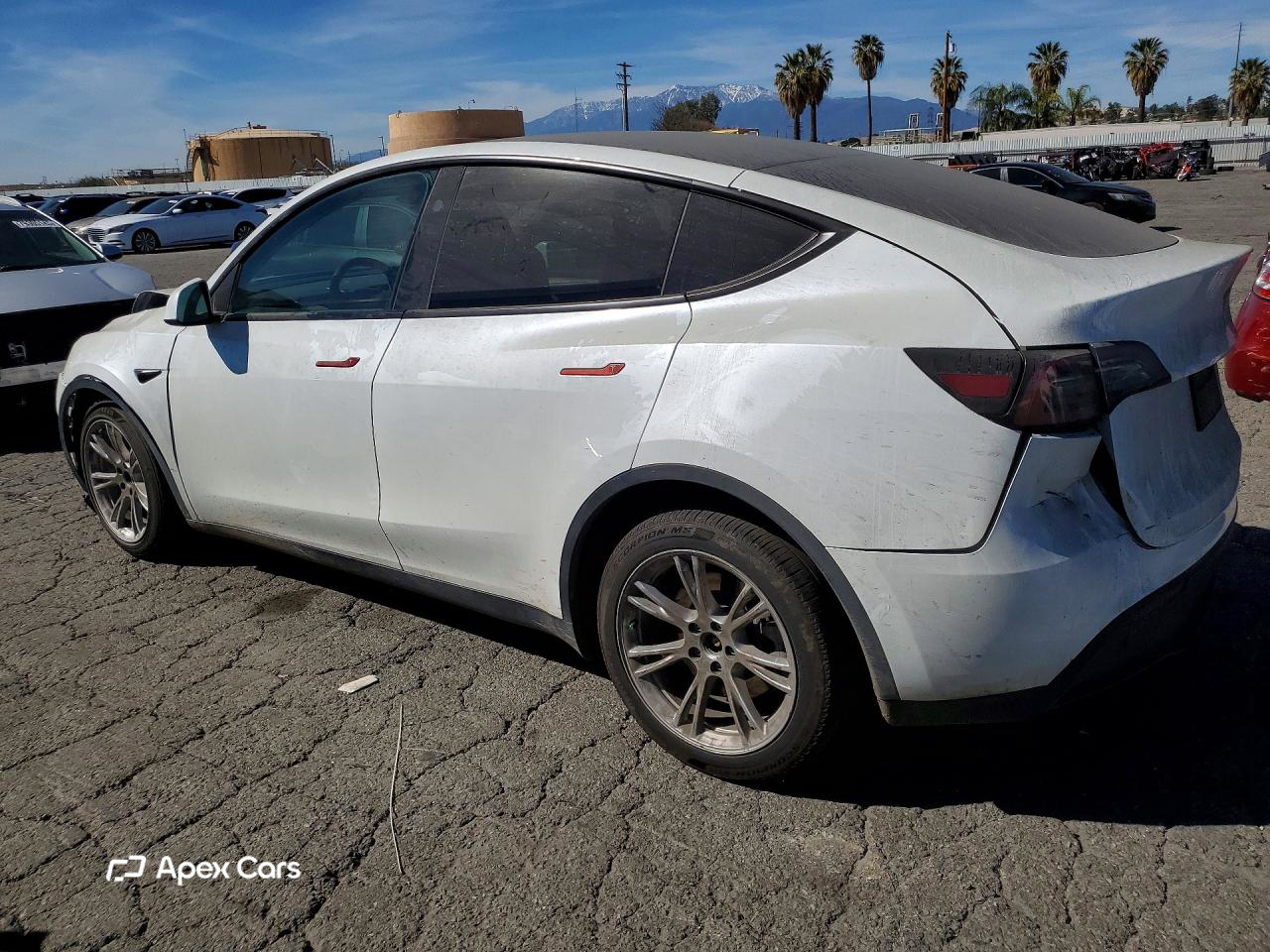Tesla Model Y 2024