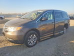 Honda Odyssey 2014
