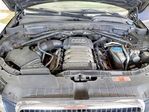 Audi Q5 2010