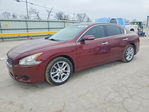 Nissan Maxima 2011