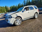 Ford Escape 2012
