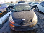 Kia Rio 2013