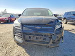 Ford Escape 2016