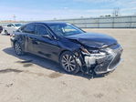 Lexus ES 2020