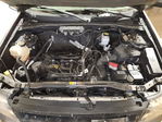 Ford Escape 2011
