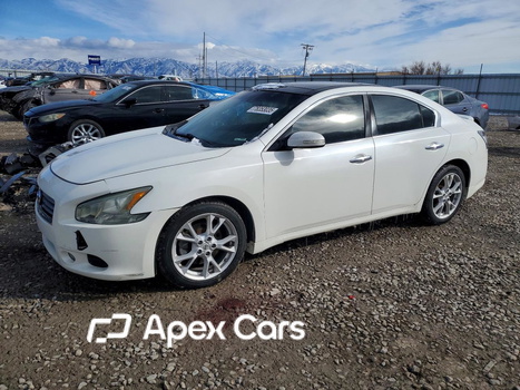 Maxima 2012 - Image 1 of 12