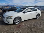 Maxima 2012