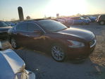Nissan Maxima 2010