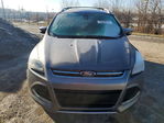 Ford Escape 2013