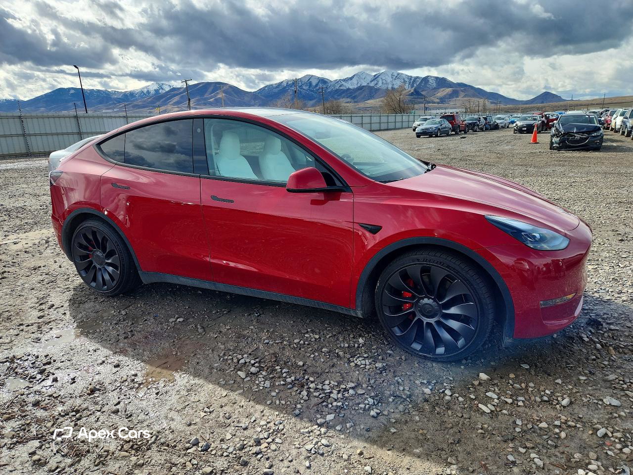 Tesla Model Y 2023