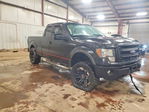 Ford F-150 2013