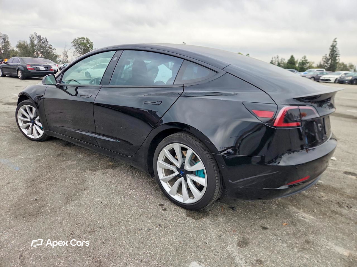 Tesla Model 3 2019