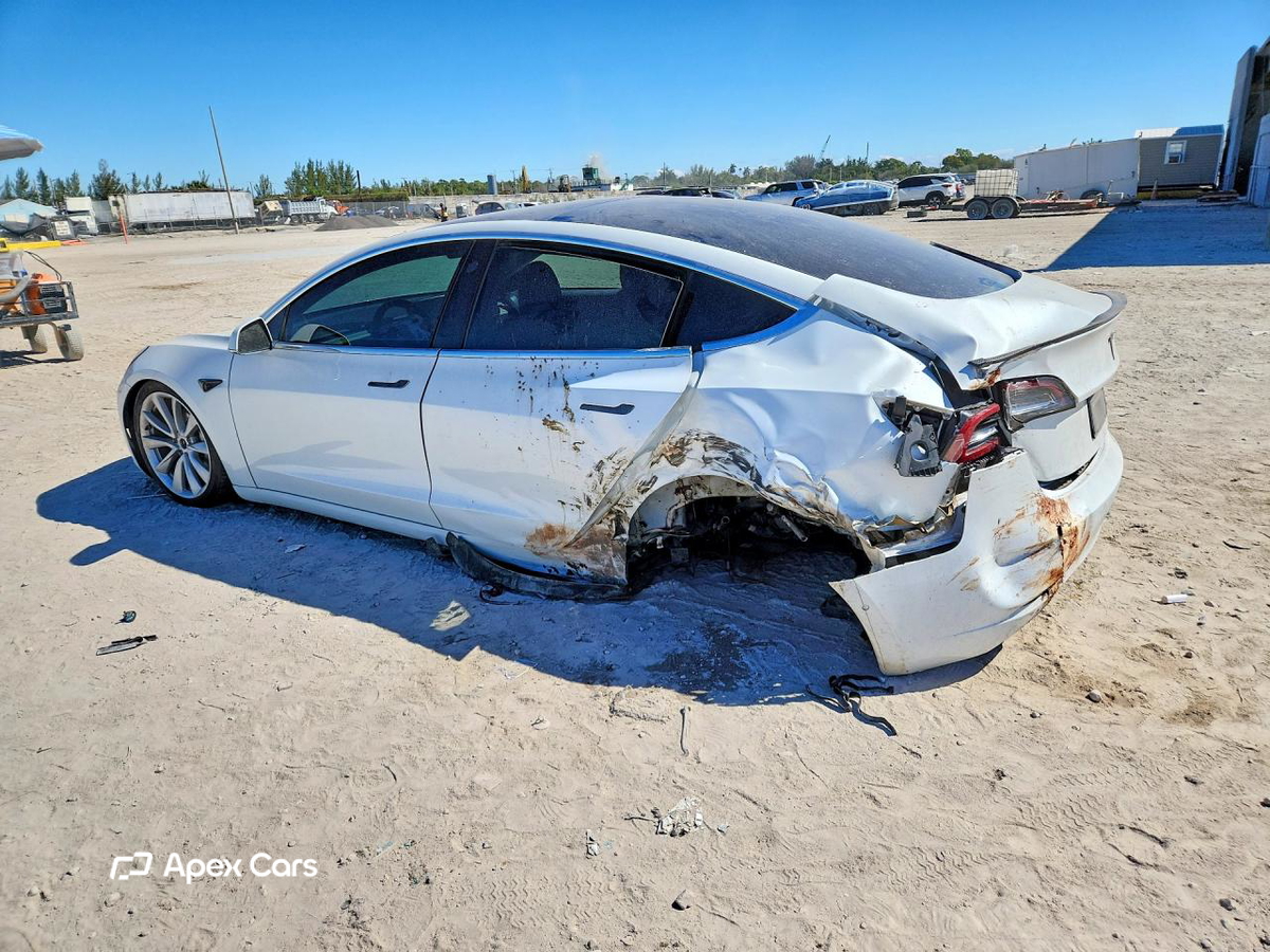 Tesla Model 3 2019