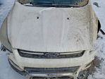 Ford Escape 2015