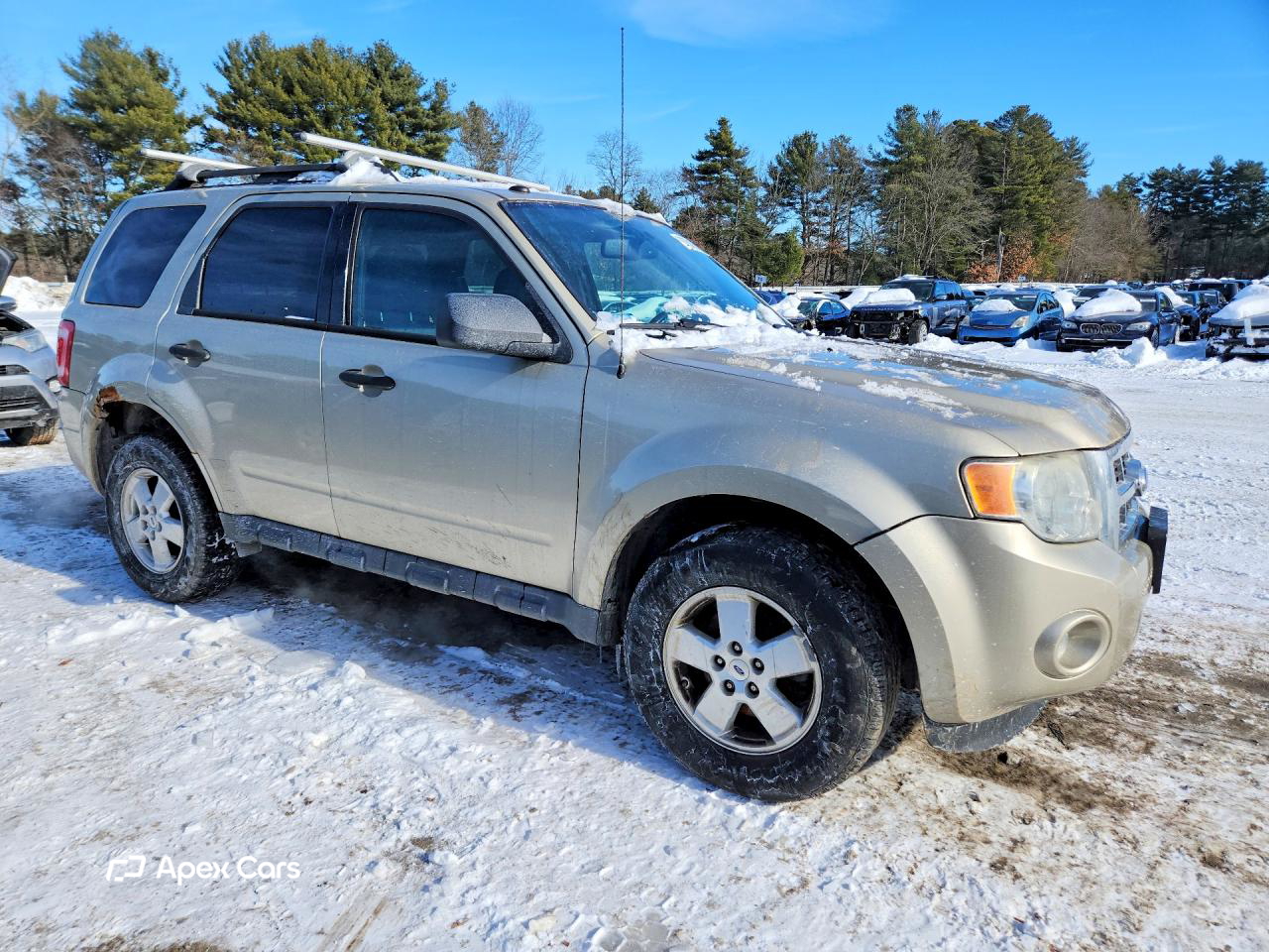 Ford Escape 2012