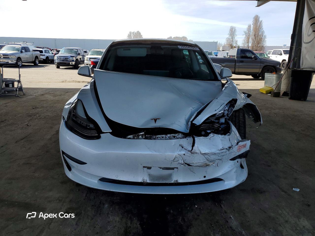 Tesla Model 3 2019