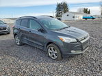 Ford Escape 2016