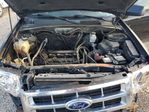 Ford Escape 2012