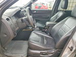 Ford Escape 2010