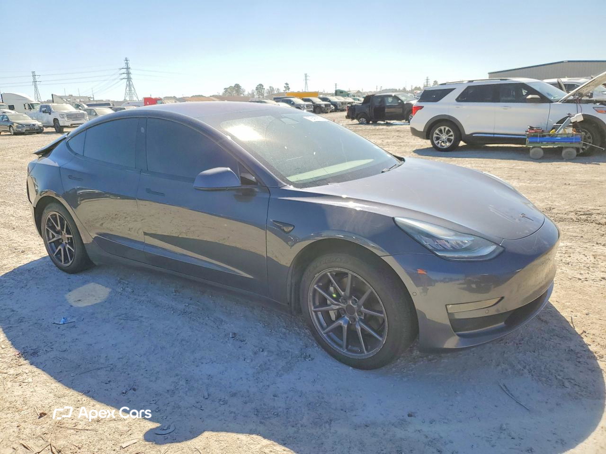Tesla Model 3 2019