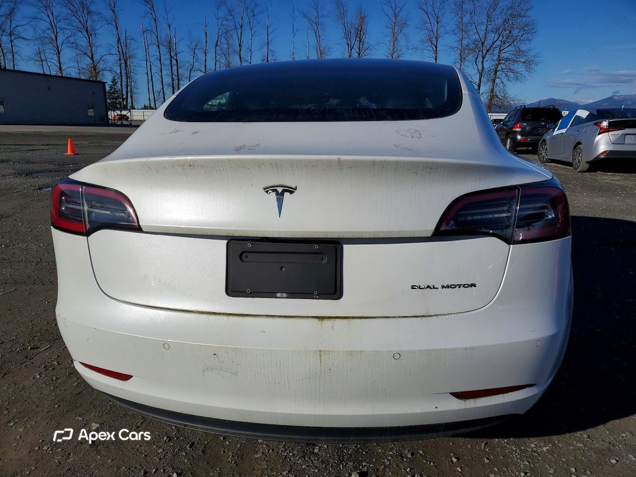 Tesla Model 3 2019