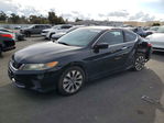 Honda Accord 2013