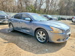 Maxima 2011