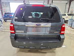 Ford Escape 2008
