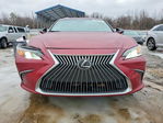 Lexus ES 2020