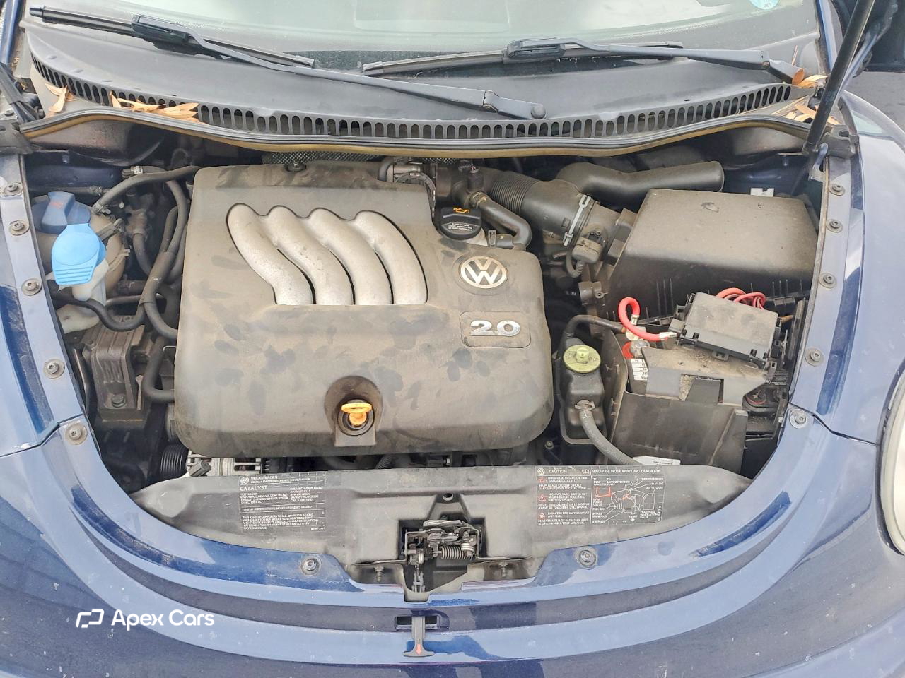 Volkswagen Beetle 2004