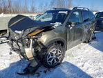 Subaru Forester 2024