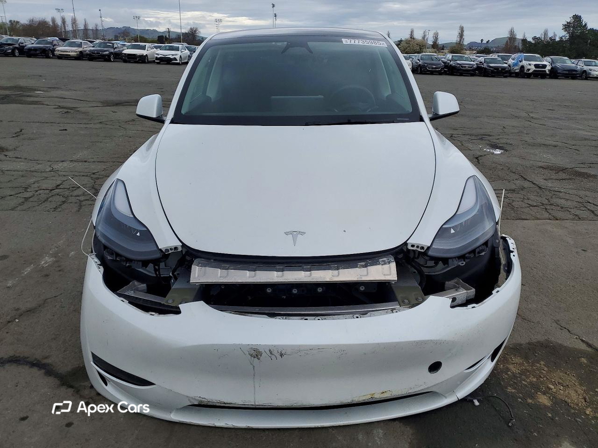 Tesla Model Y 2025