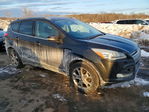 Ford Escape 2015