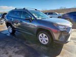 Toyota RAV 4 2020