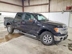 Ford F-150 2013