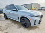 BMW X5 2025