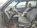 Ford Escape 2011
