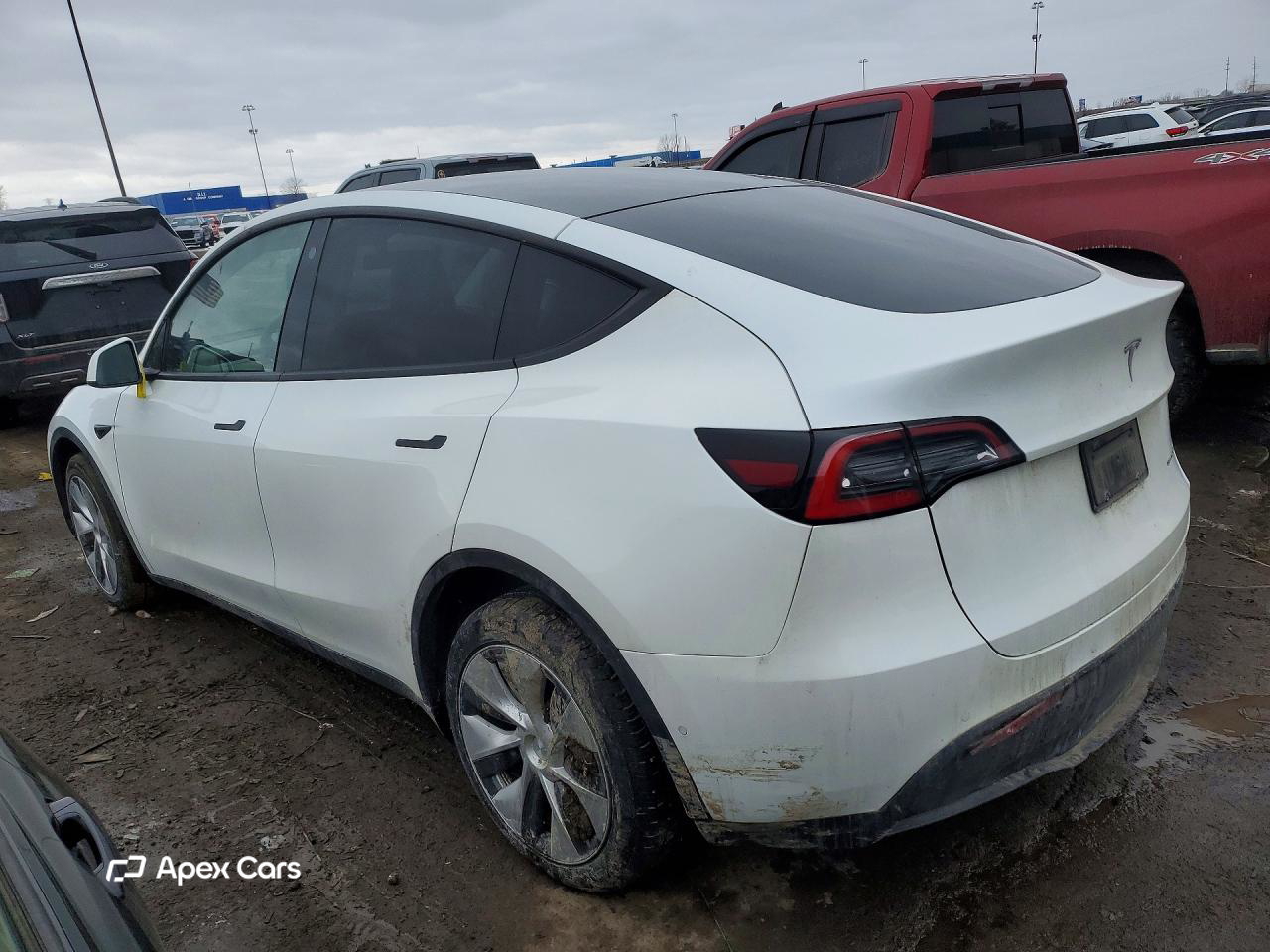 Tesla Model Y 2021