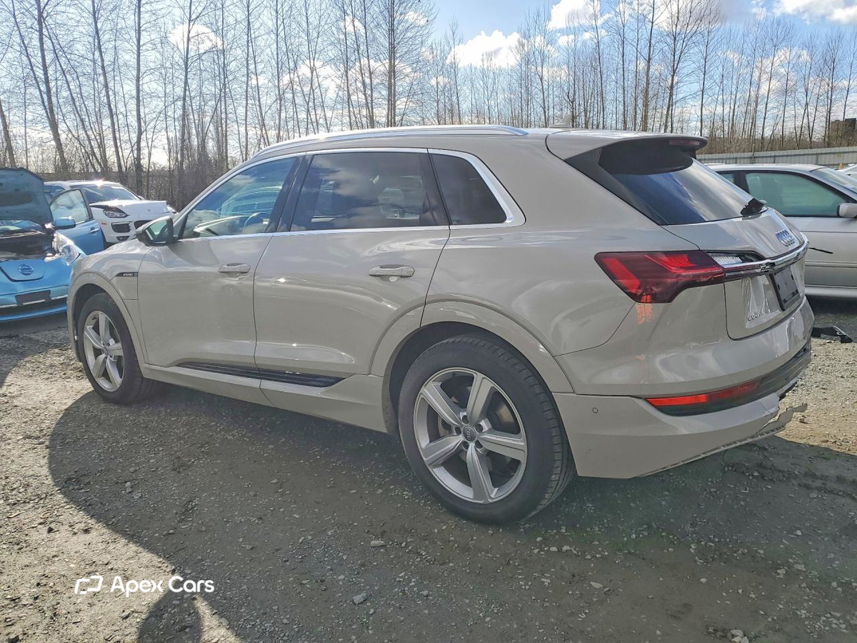 Audi e-tron 2019