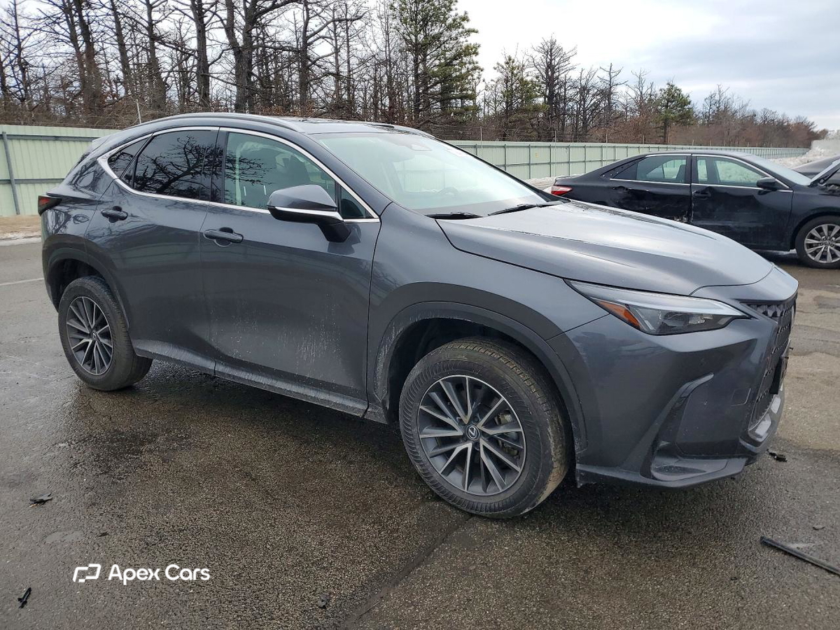 Lexus NX 2024