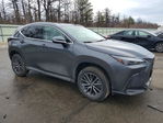Lexus NX 2024