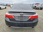 Honda Accord 2013